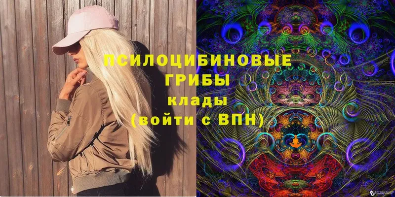 где купить   Воркута  ссылка на мегу зеркало  Галлюциногенные грибы Cubensis 